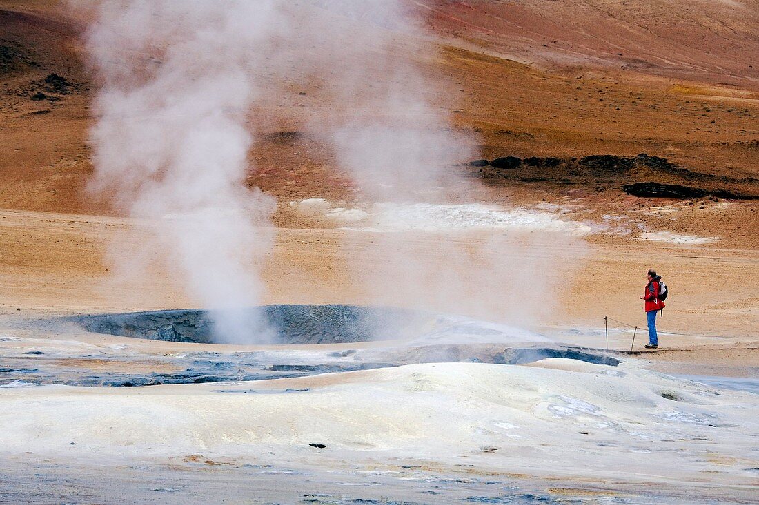 Geothermal mud pool,Iceland