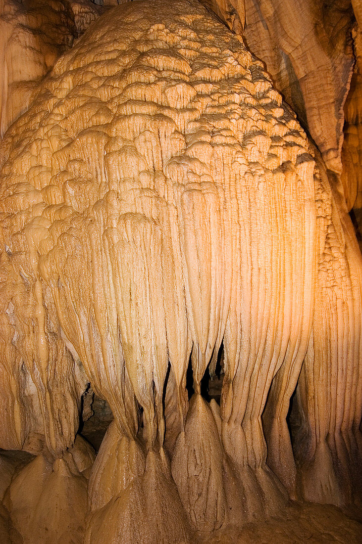 'Jellyfish' cave formation