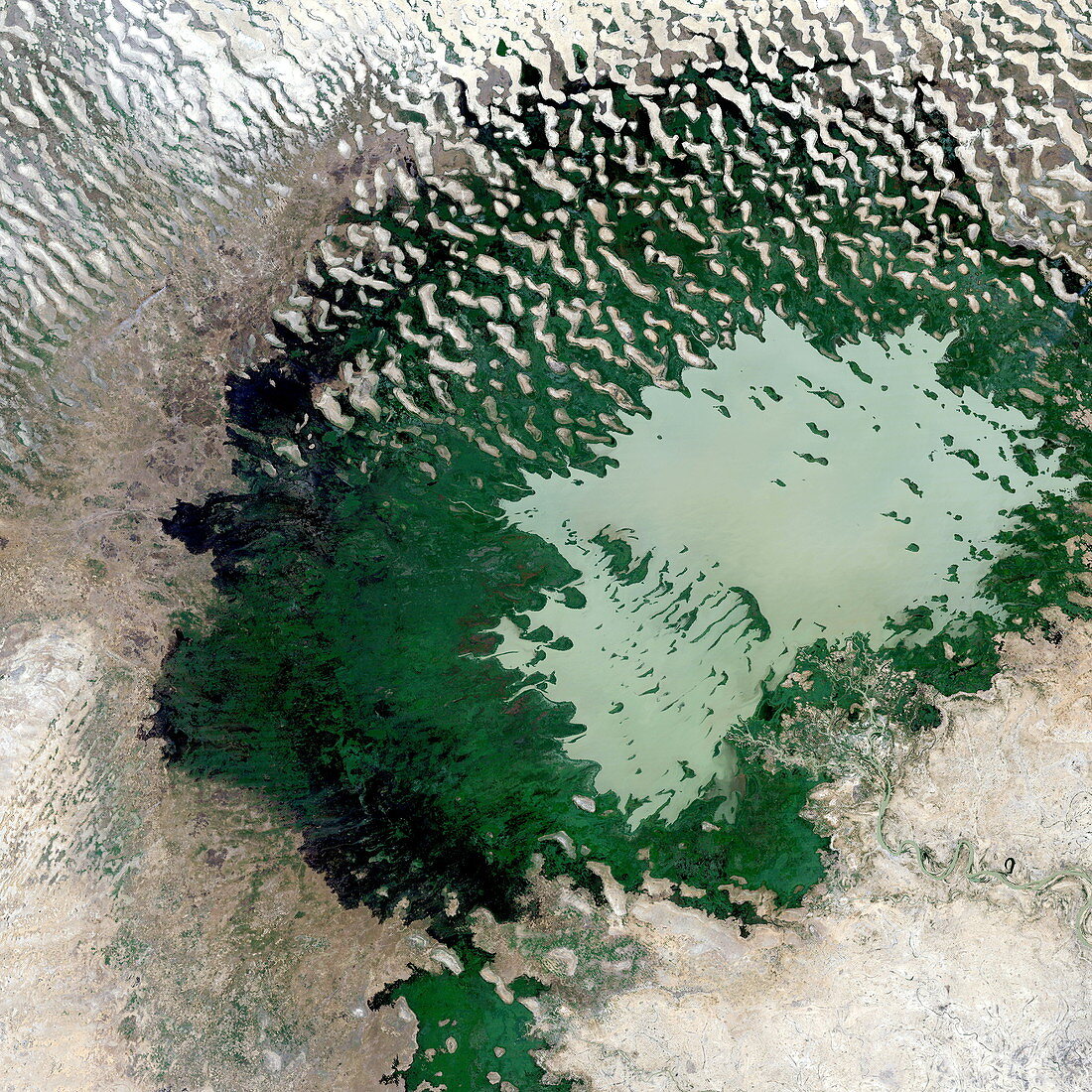 Lake Chad