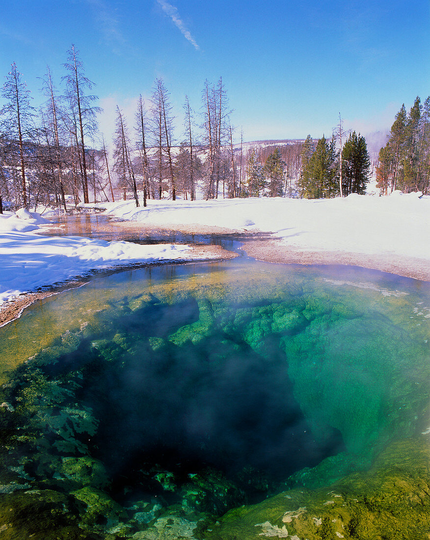 Minerals and algae in hot spring in winter