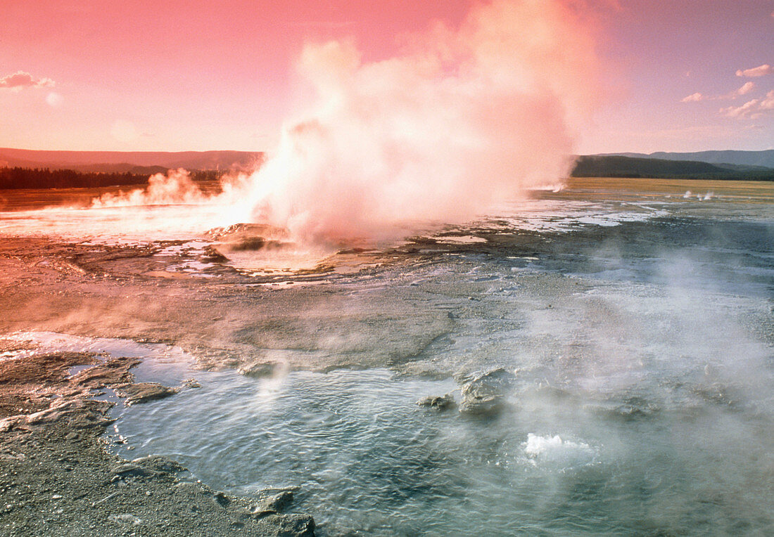 Steam rising from a geyser