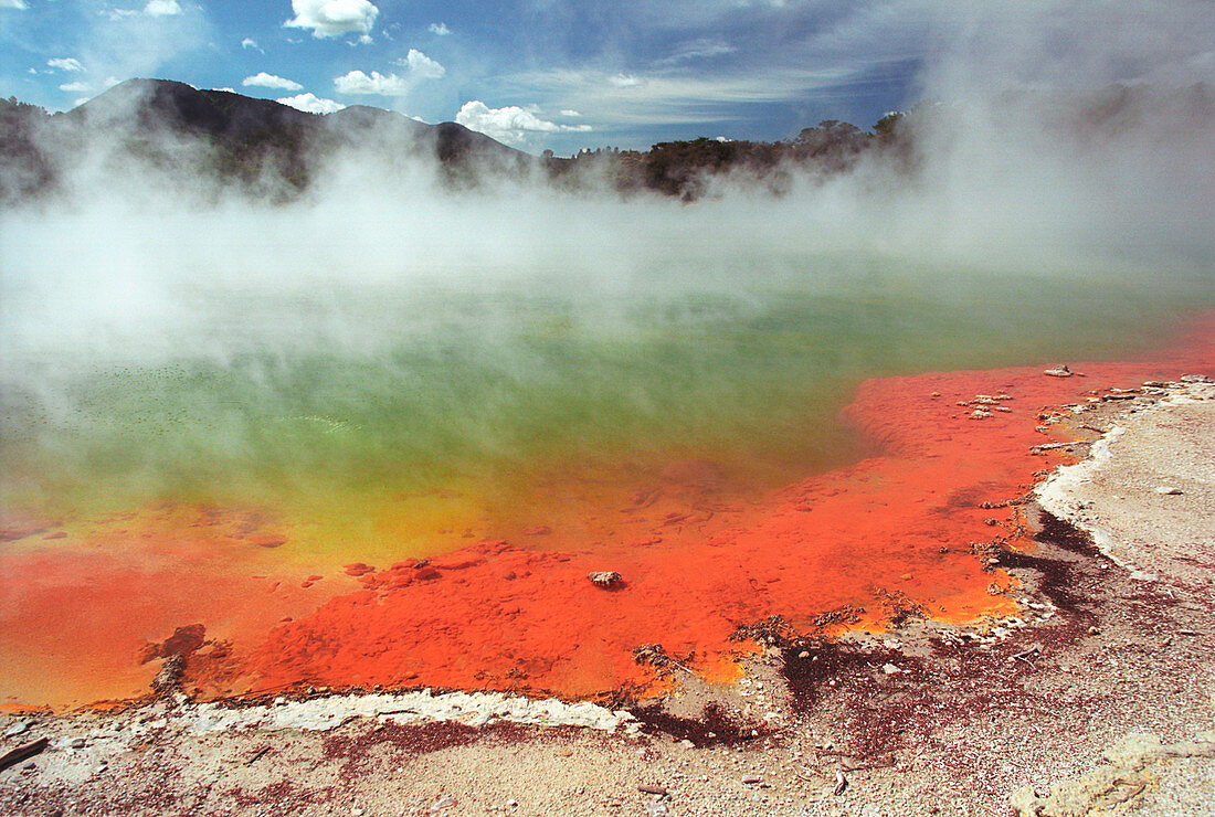 Geothermal pool,New Zealand