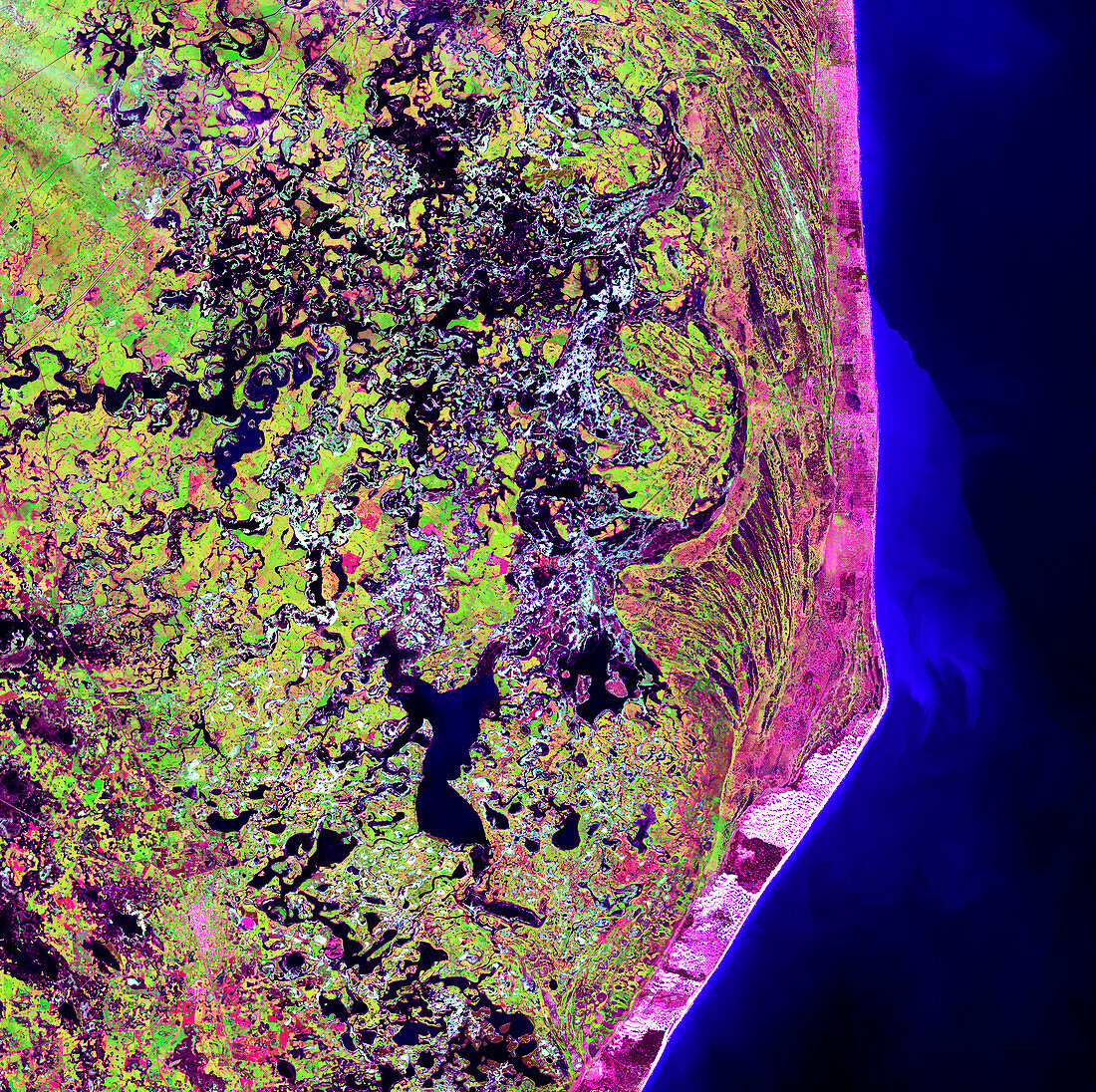 Coastal wetlands,satellite image