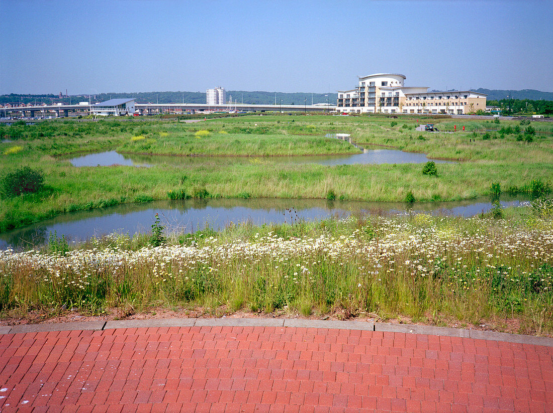 Artificial wetland habitat