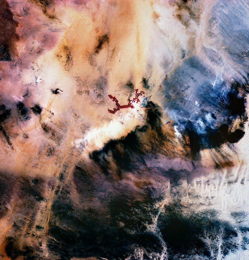 Infrared satellite of irrigated fields in desert