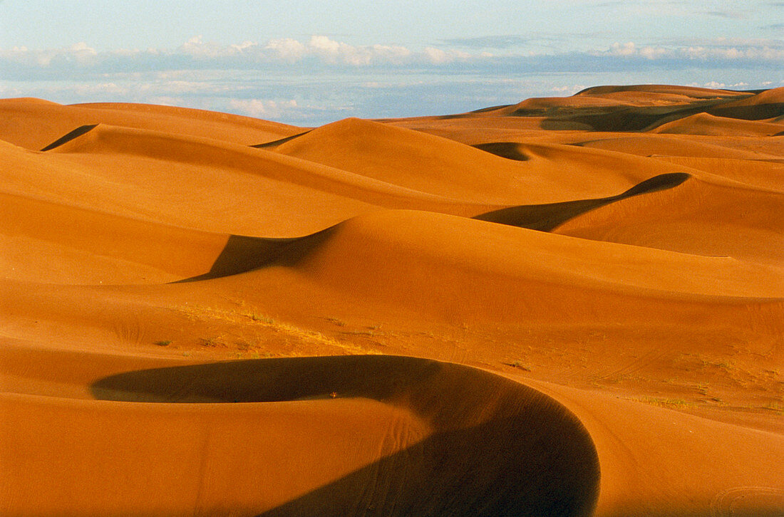 Desert sand dunes at Glamis,near Yuma,California