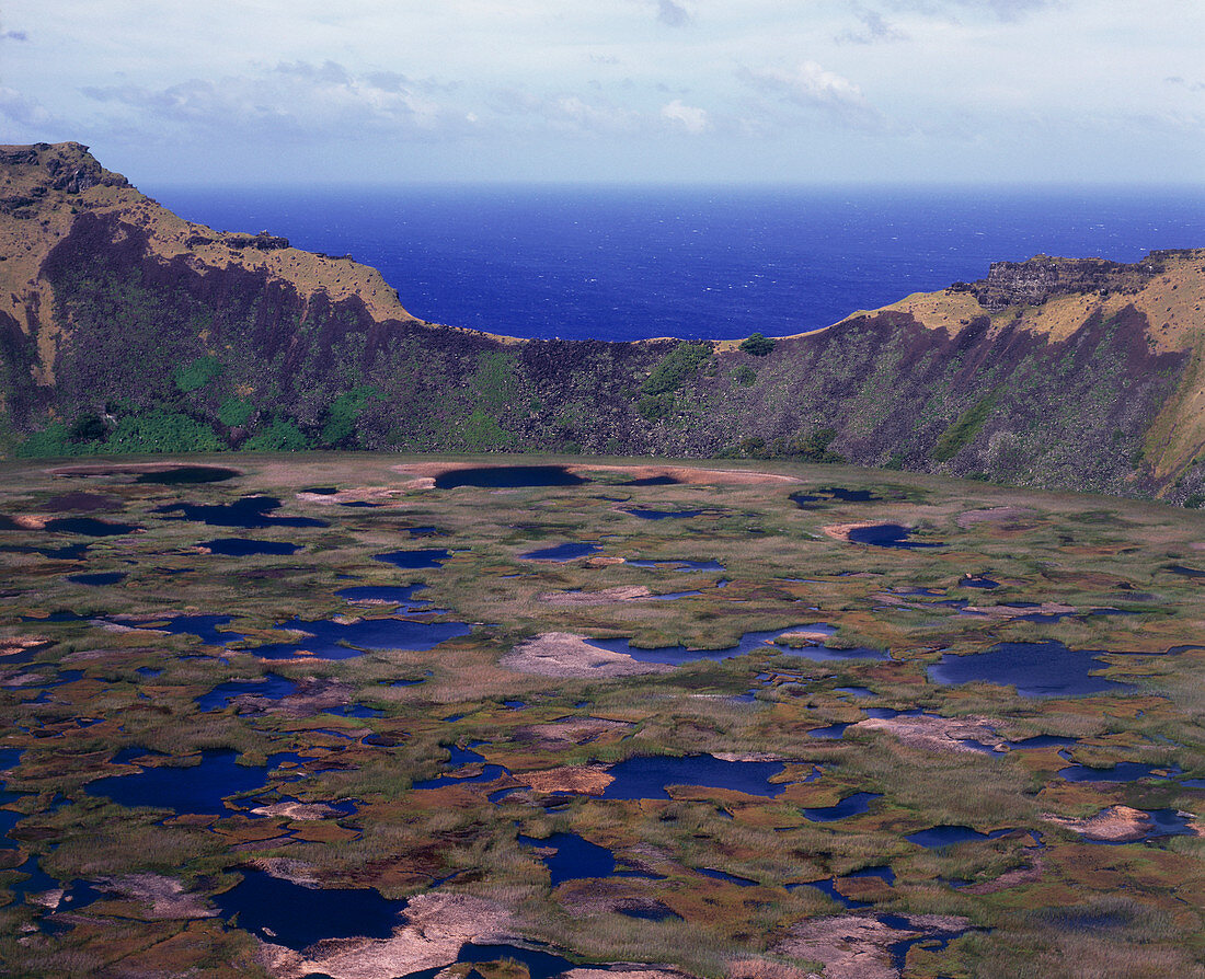 Peat bog in Rano Kau volcano crater,Easter Island