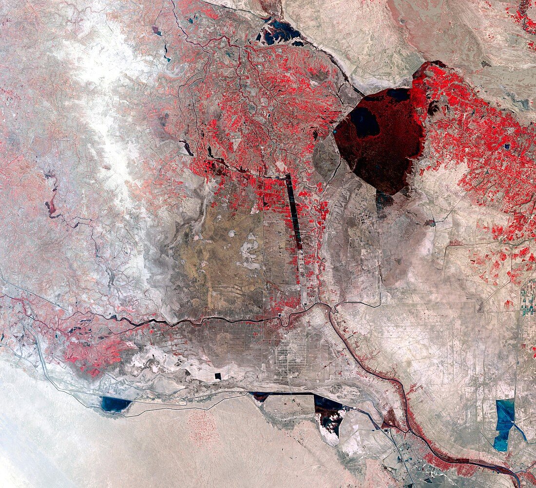 Disappearing Iraqi marshlands
