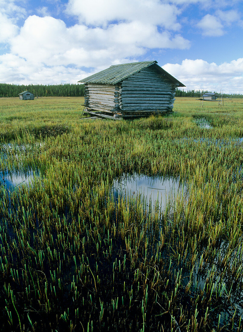 Flooded meadow with sauna hut