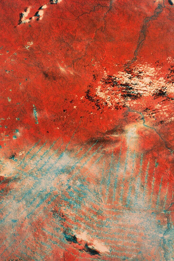 Landsat image of rainforests,western Brazil