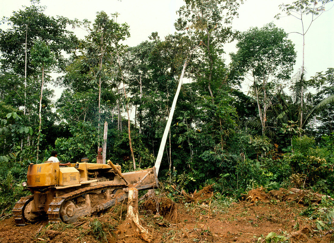 Bulldozing a clearing in Ecuador rainforest