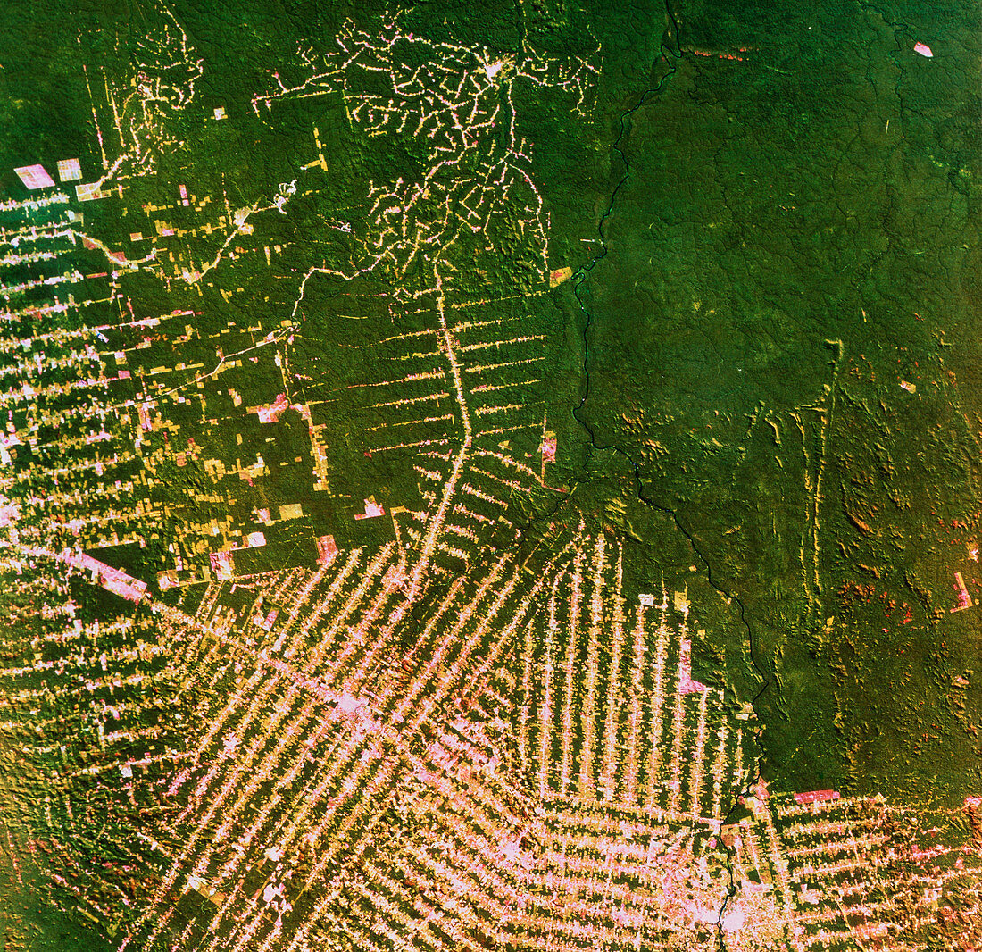 Deforestation in Brazil,from space
