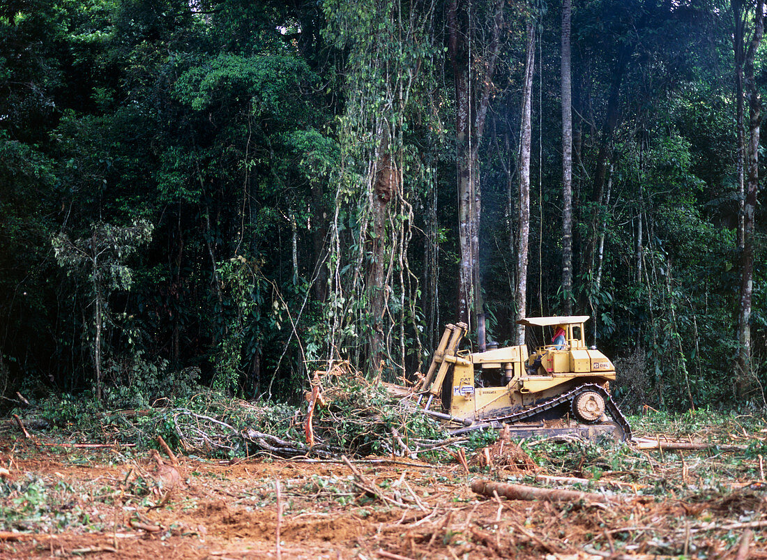 Tractor clears rainforest to build an oil well