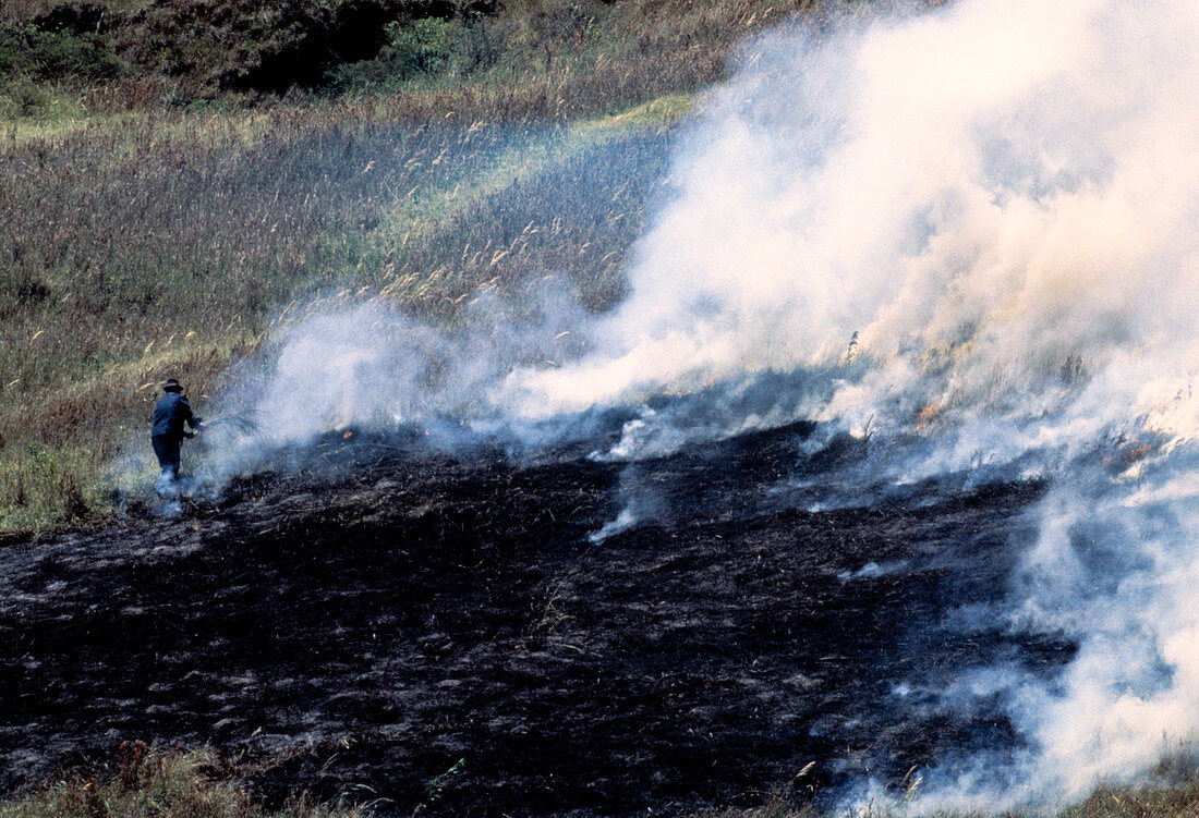 Slash-and-burn agriculture