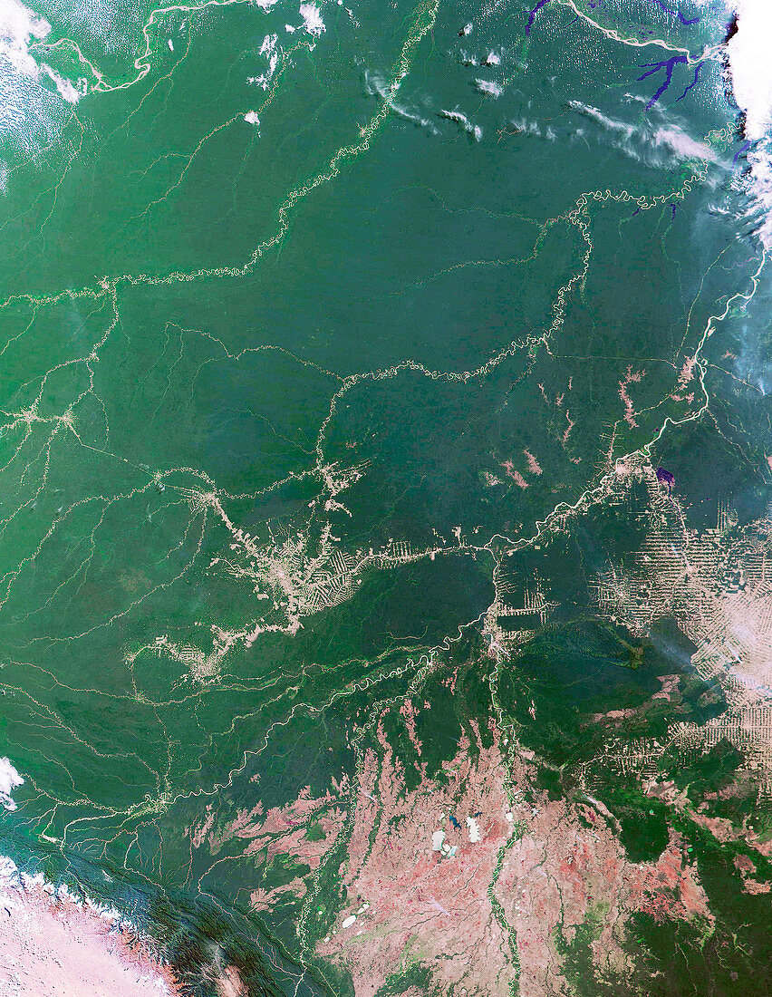 Amazon Basin,Brazil and Bolivia