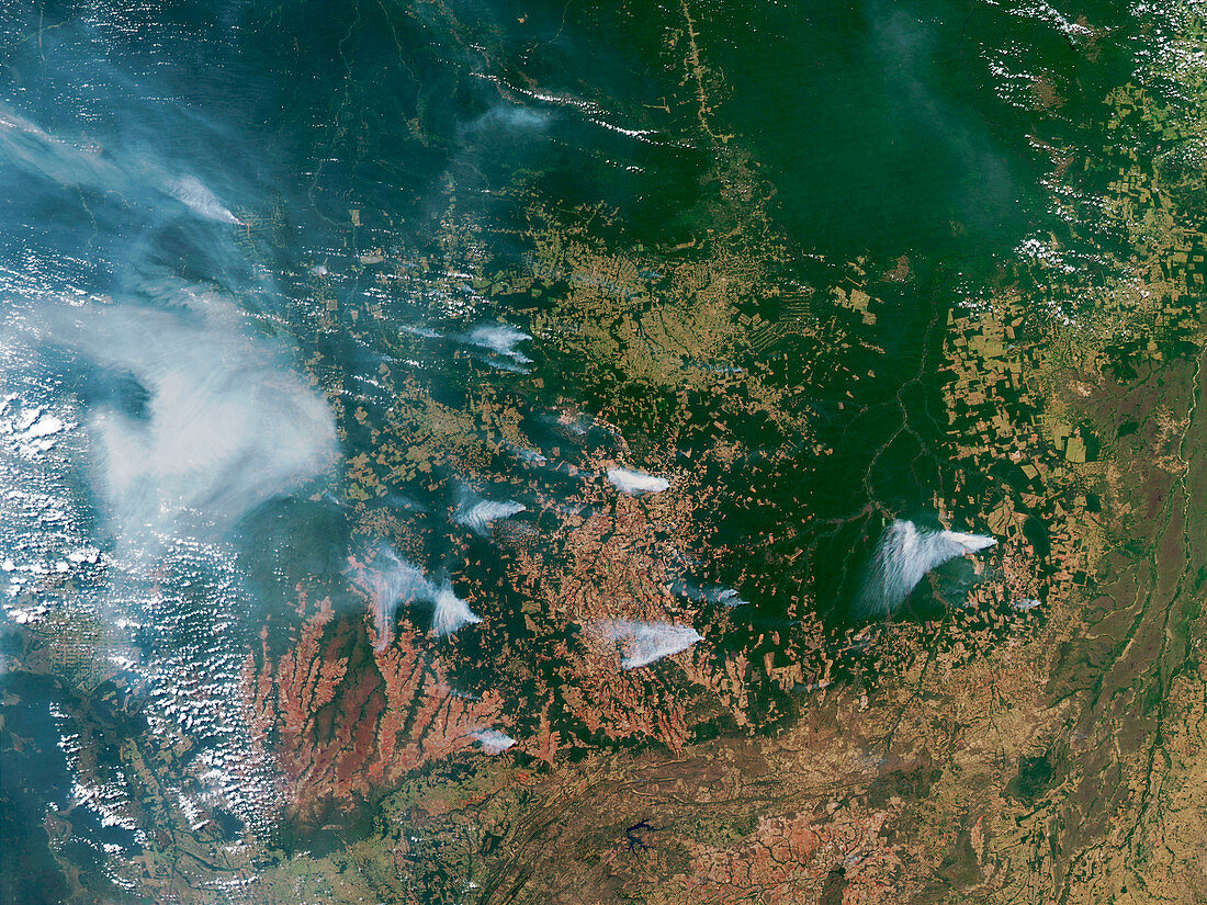 Amazon Basin forest fires