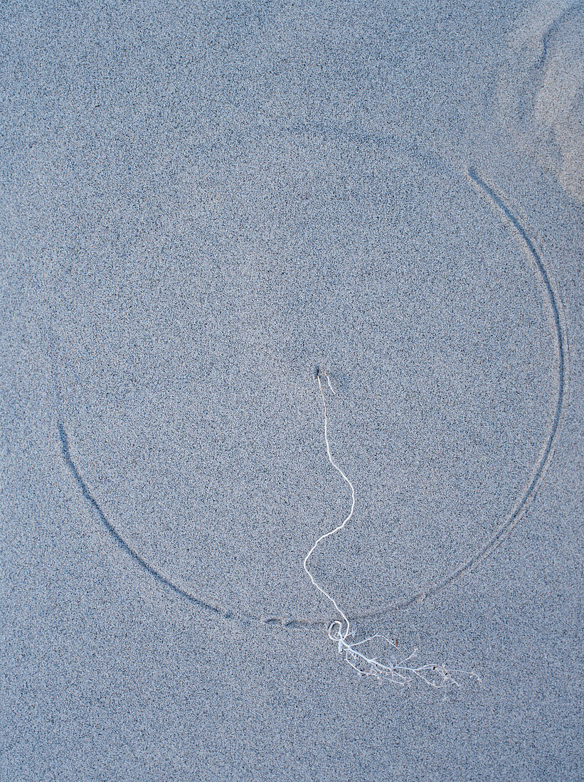 Sand circle in a sand dune