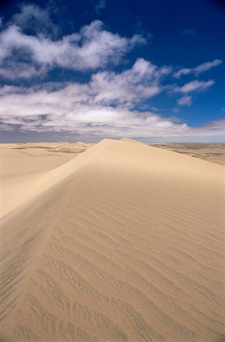 Coastal desert