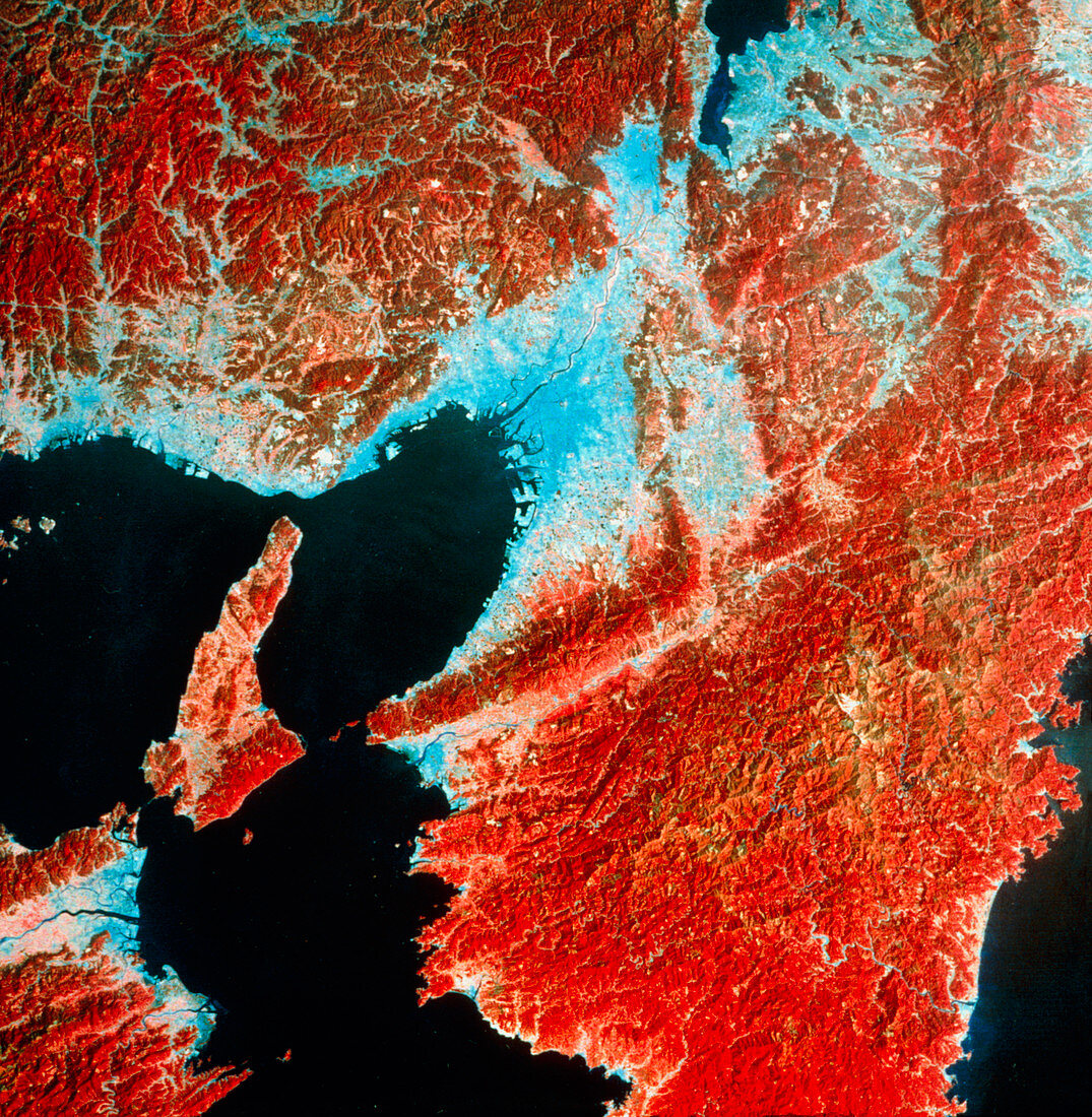 Landsat image of Osaka Bay and Osaka,Japan