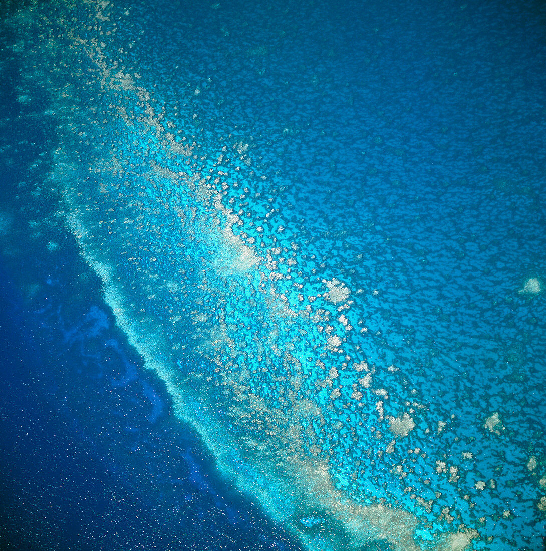 Aerial view of a coral reef in the Bahamas