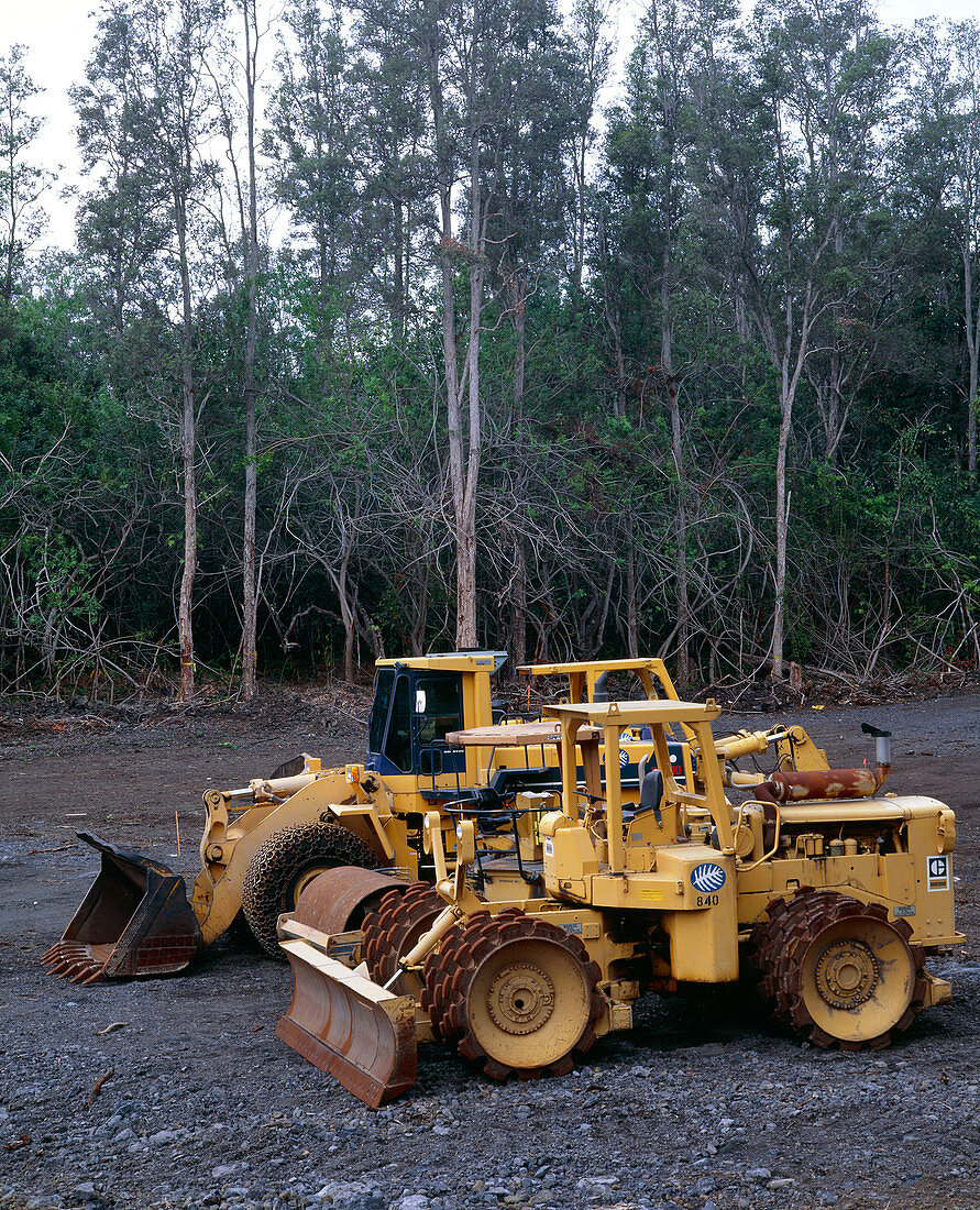 Bulldozing a rainforest,Hawaii