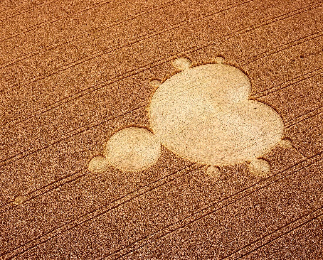 Crop formation in form of Mandelbrot set