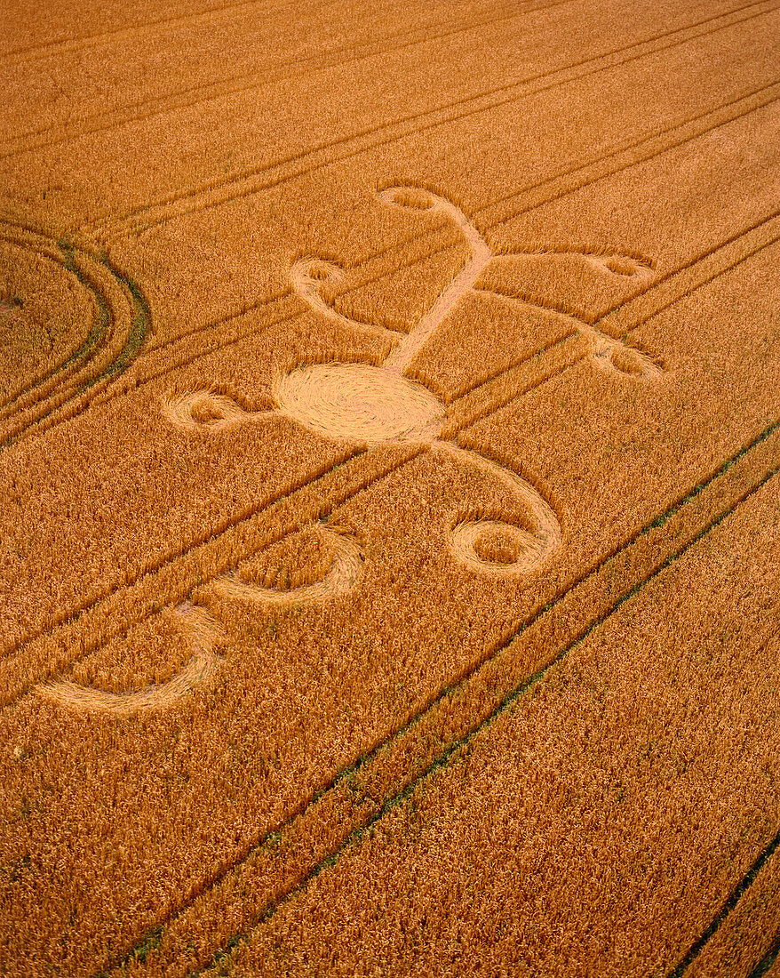 Crop formation,Amesbury,Wiltshire