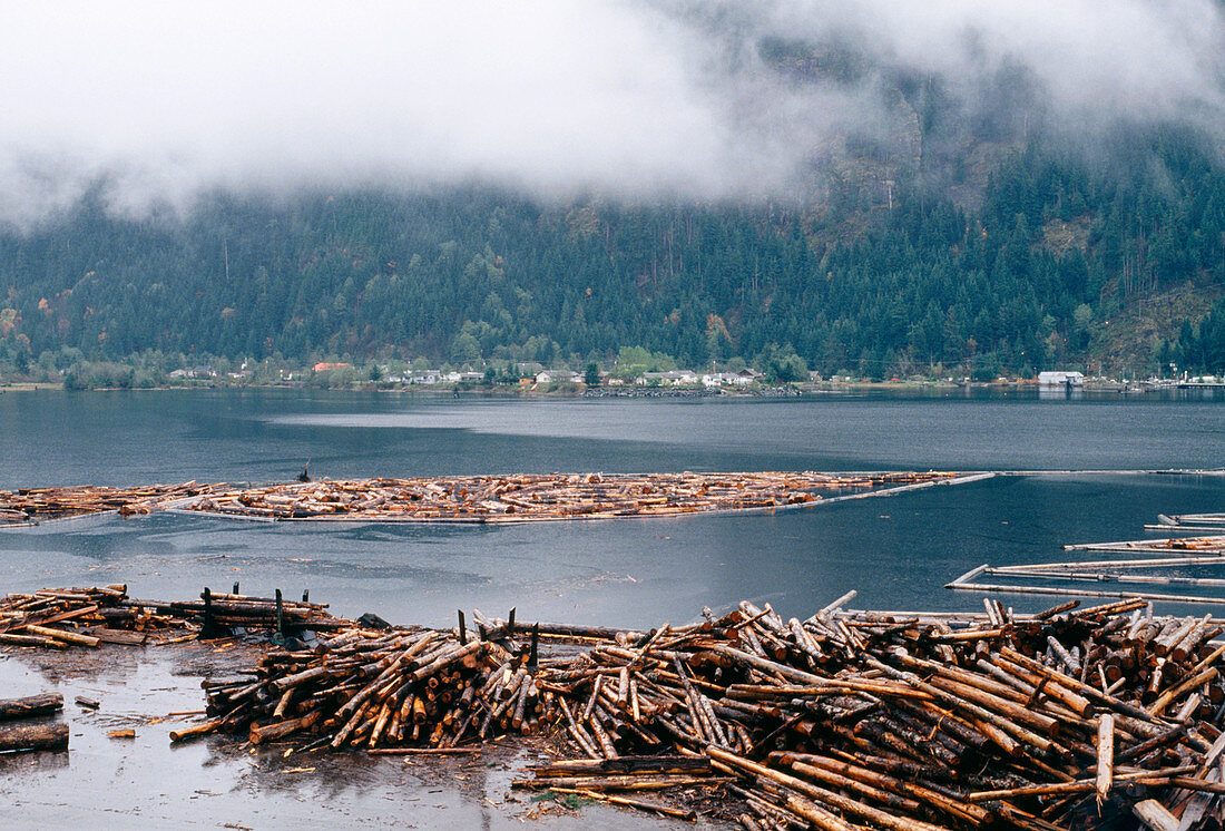 Log booms and sorting area in Vancouver Island