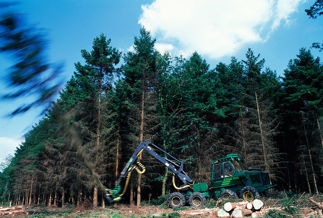 Commercial forestry