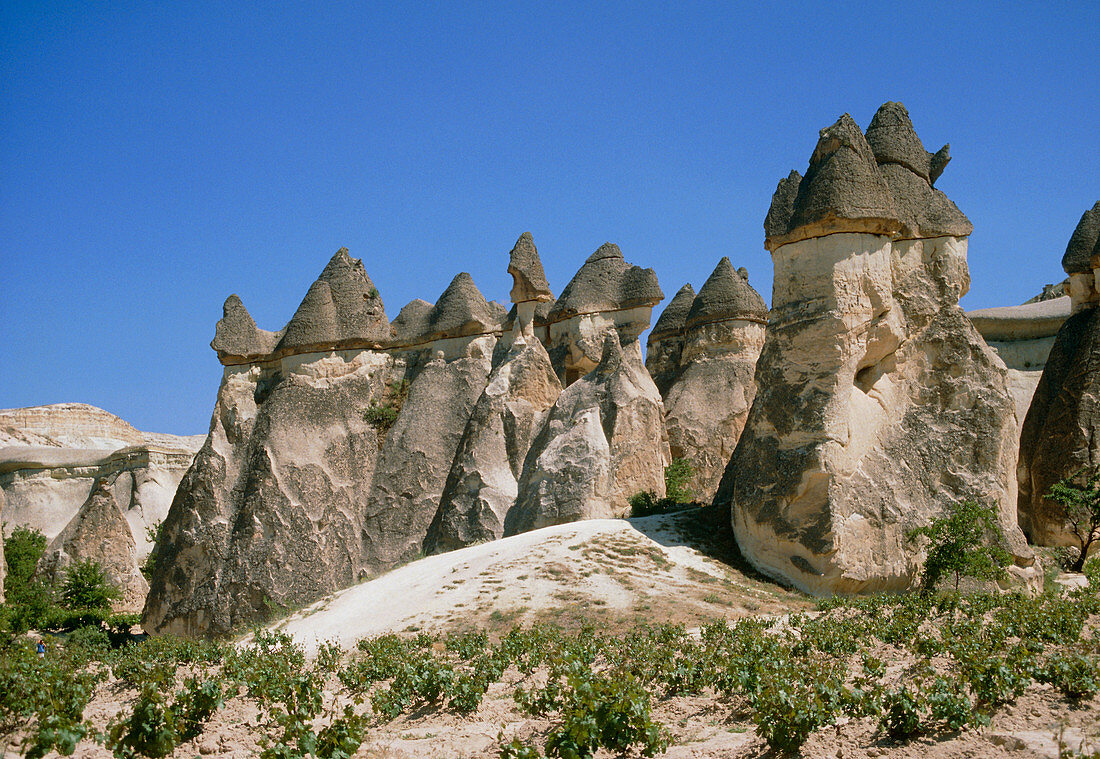 Petrified landscape,Cappadocia,Turkey