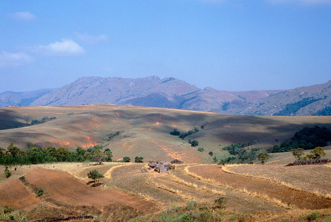 Traditional field and farm in Swaziland