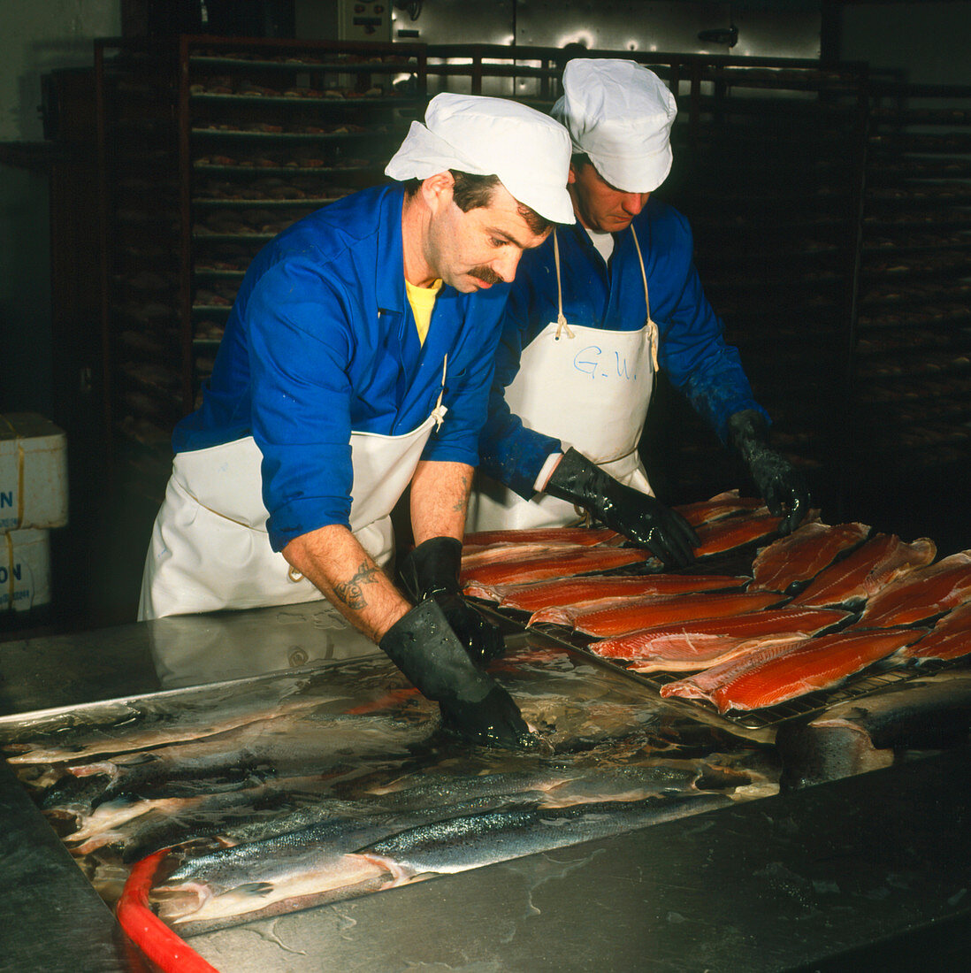 Workers at a salmon smokery,Scotland