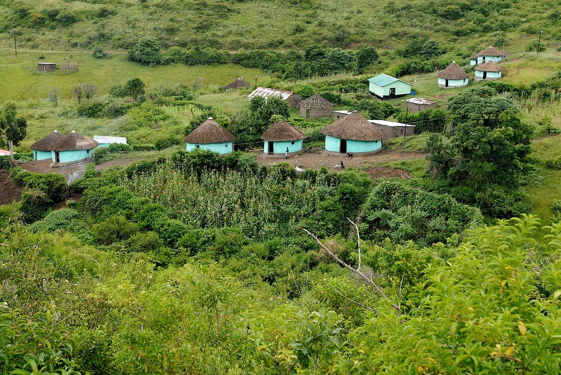 Xhosa farmstead