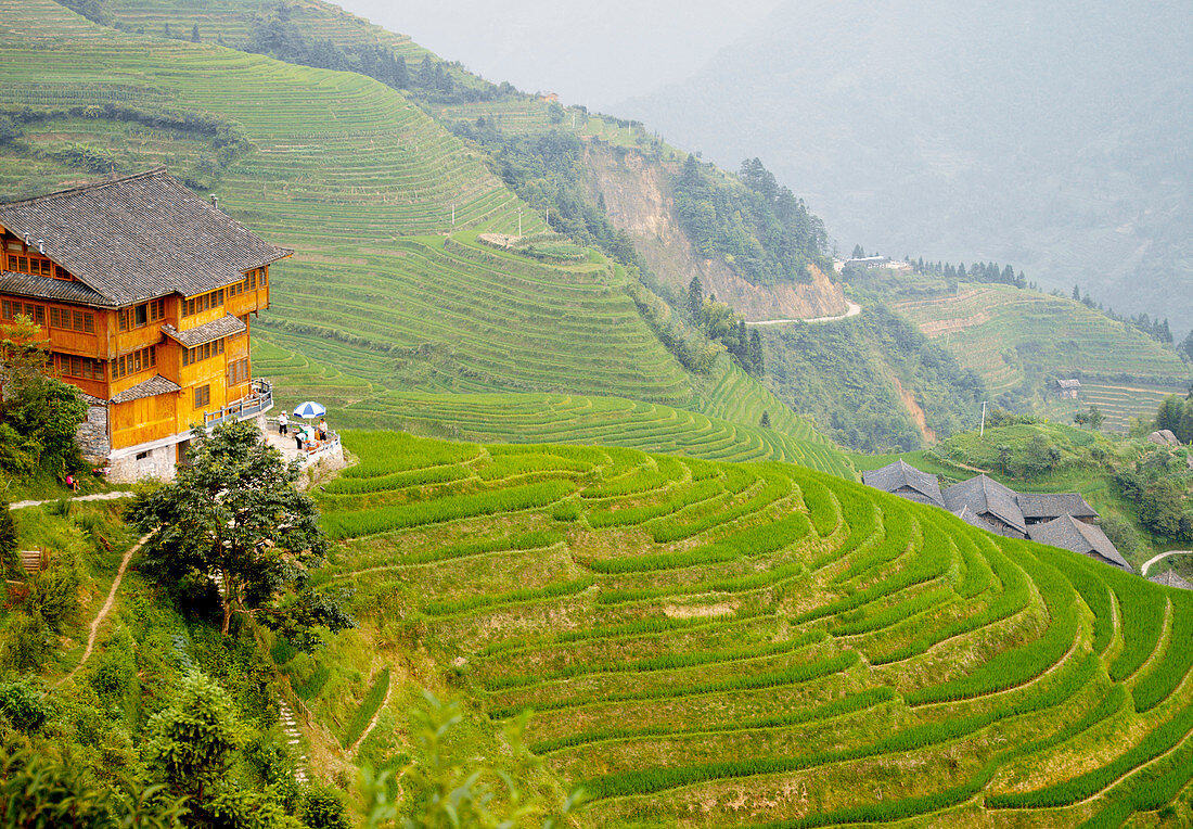 Rice terraces,China