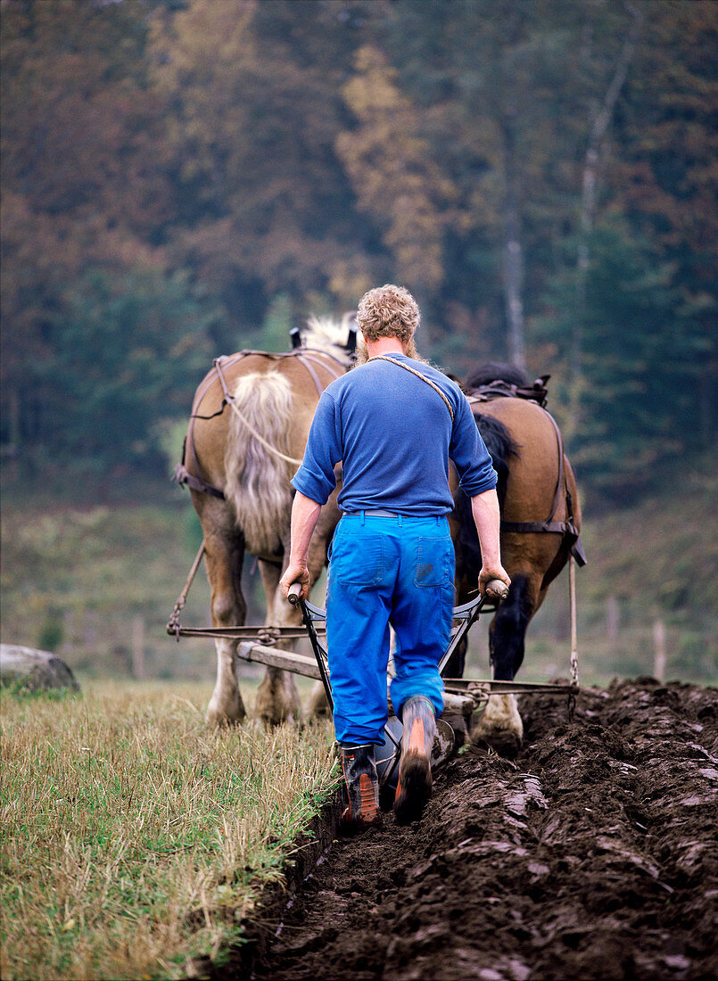 Farmer ploughing a field