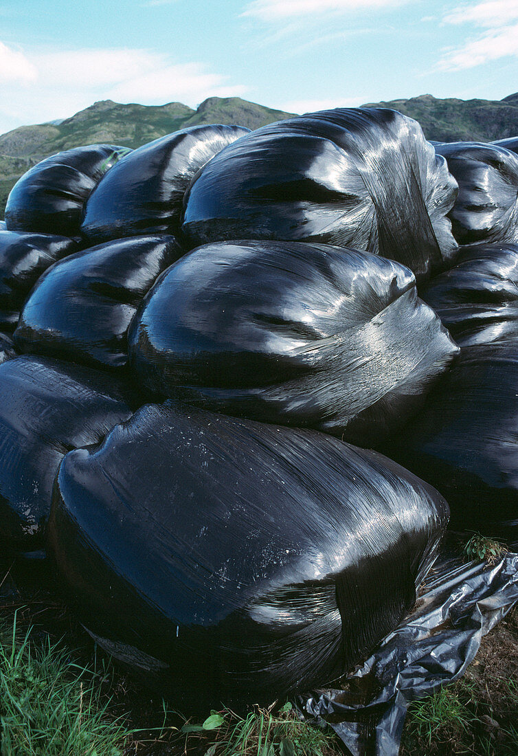 Silage bags