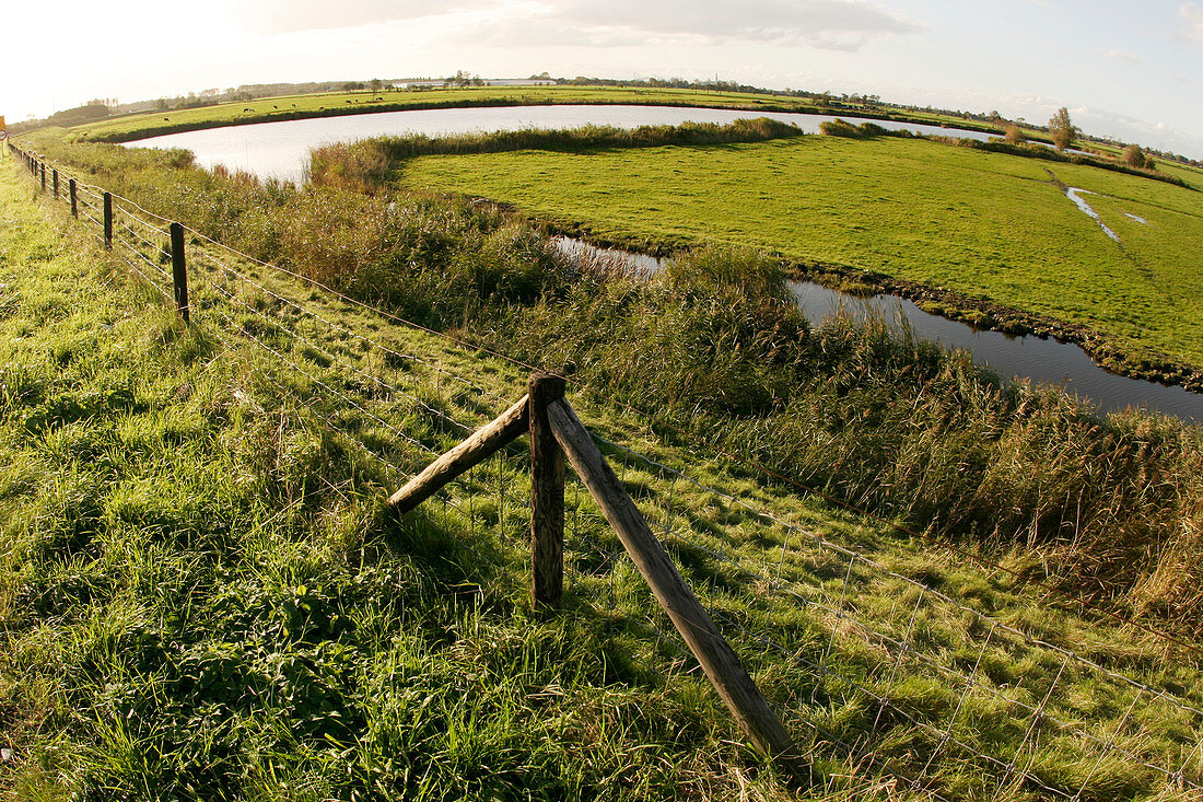 Farmland in Holland