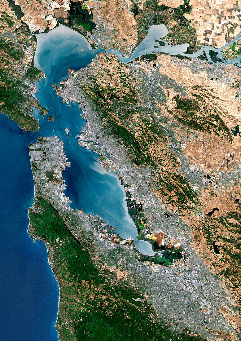 San Francisco,satellite image