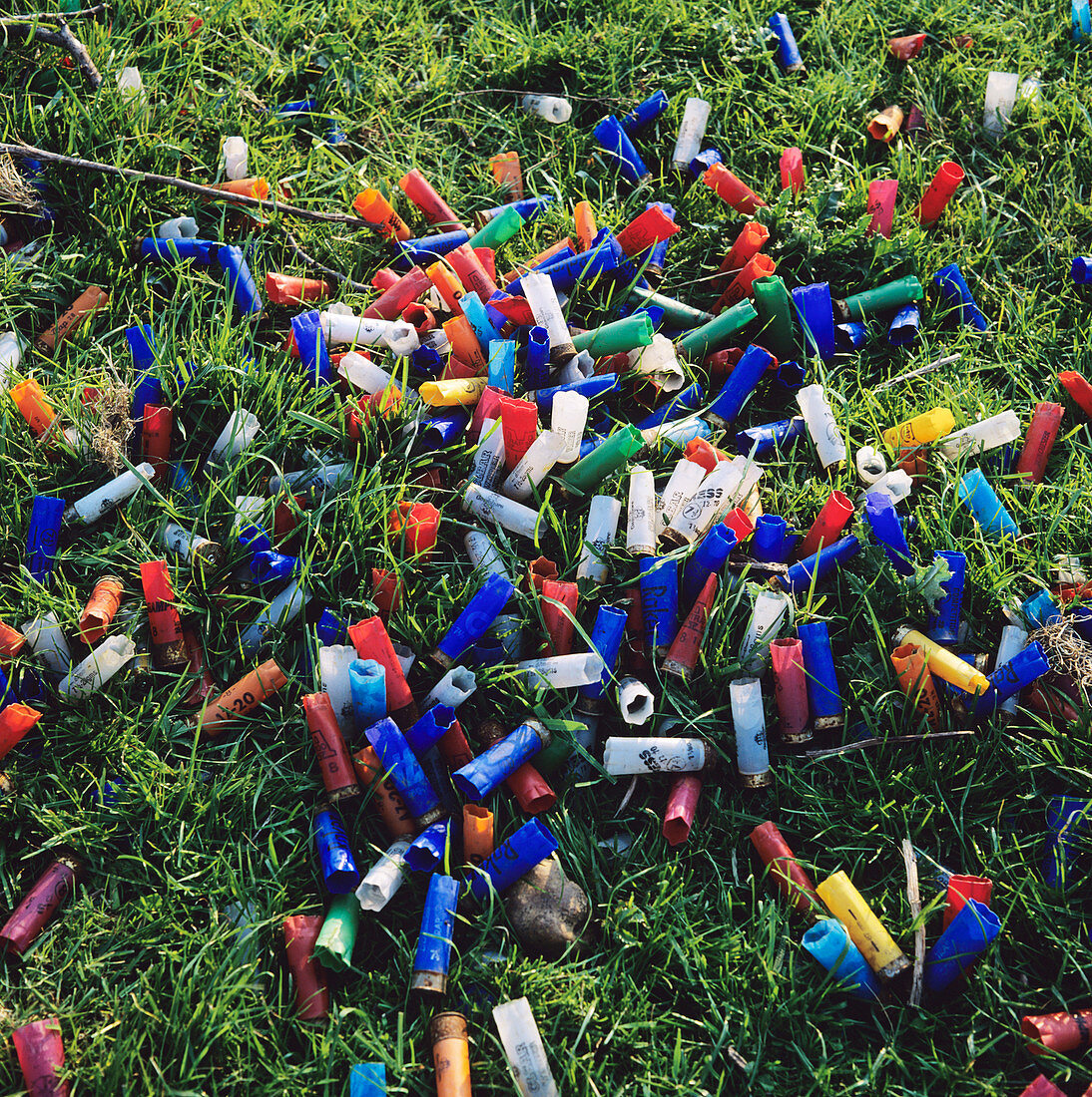 Dumped gun cartridges