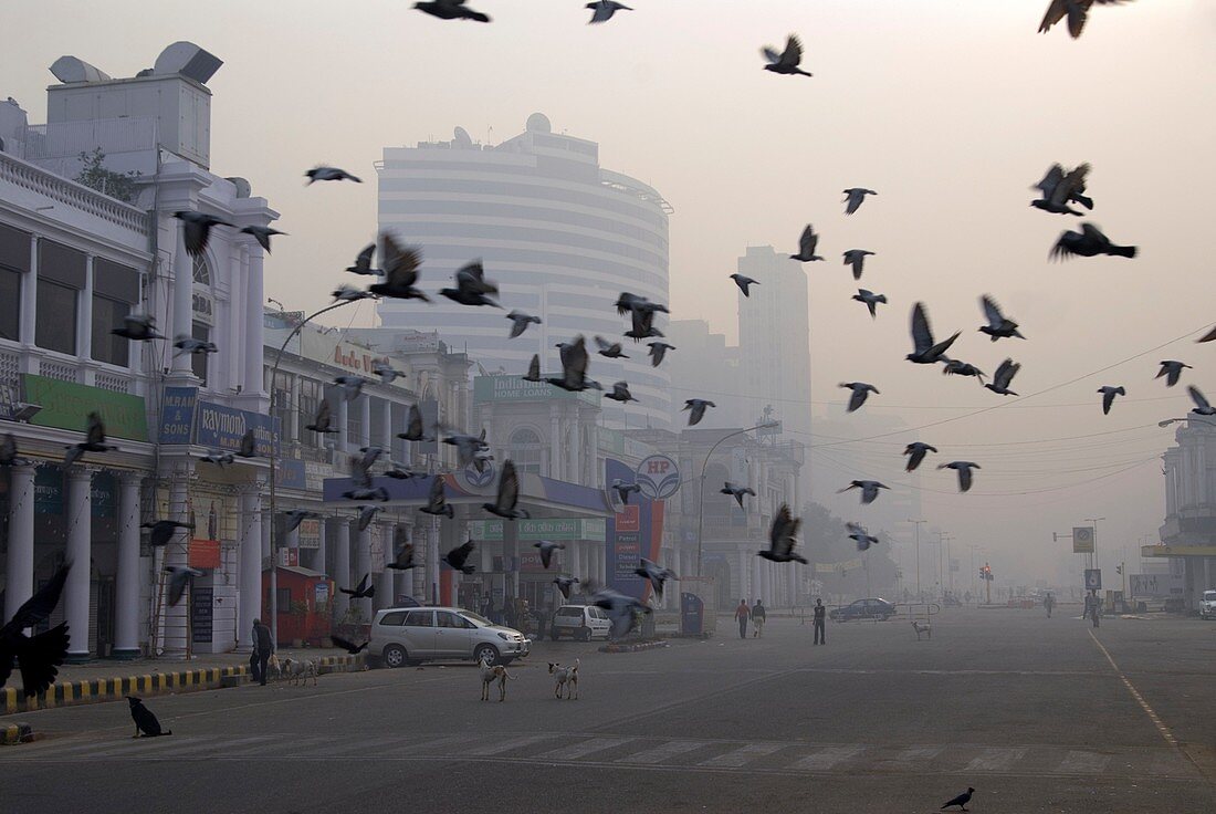 Air pollution,New Delhi,India