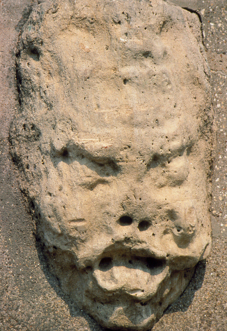 Effect of acid rain on stonework gargoyle,France