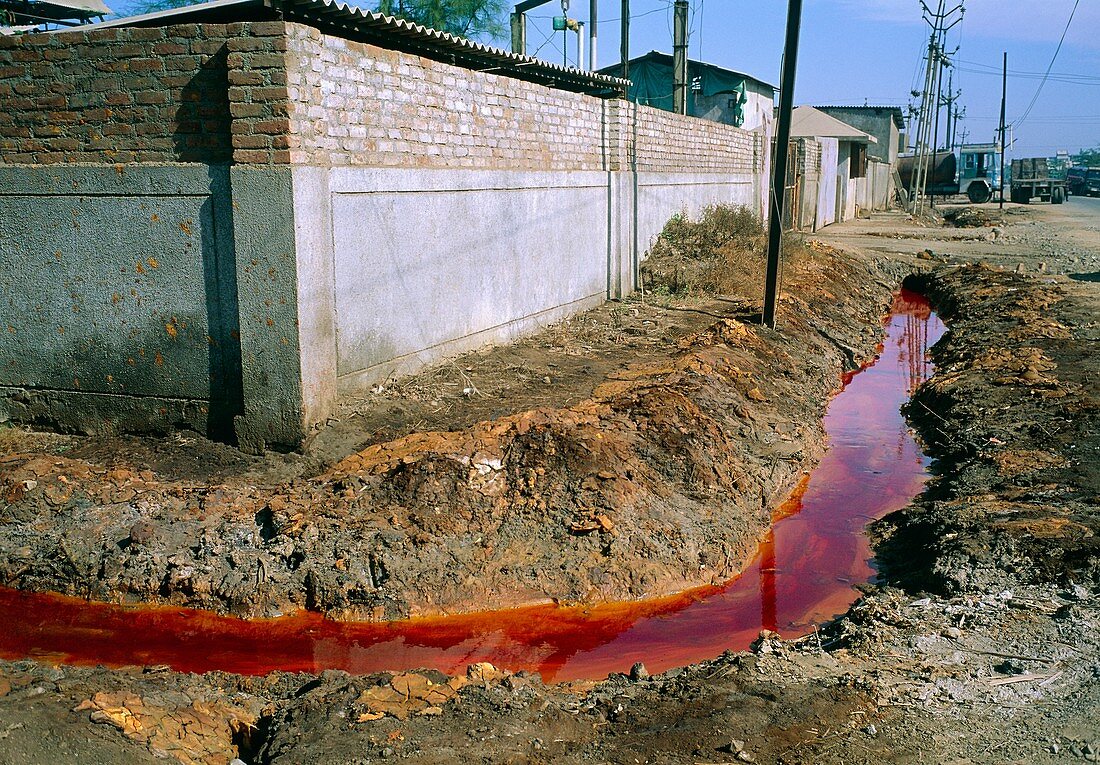Polluted water in a street drainage ditch