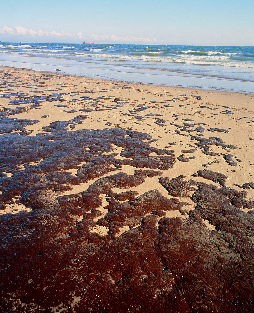 Oil covering a sandy beach