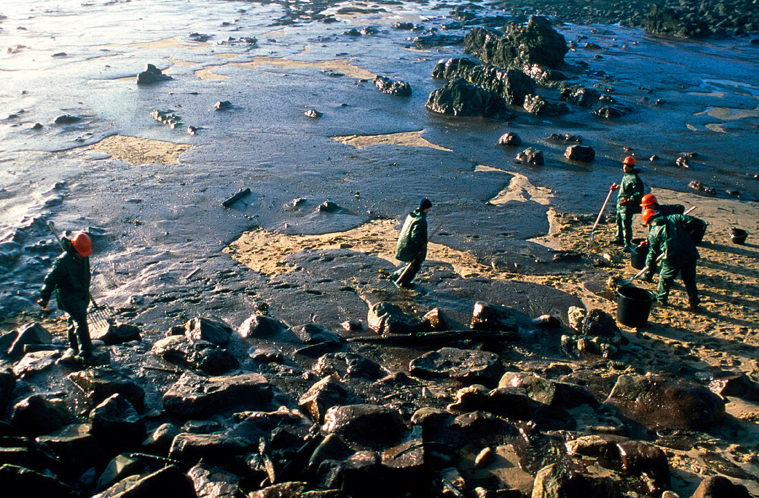 Erika oil spill,France,1999