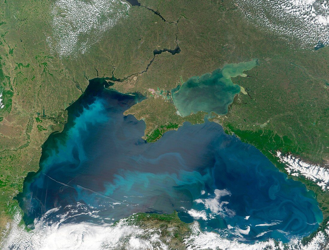 Algal blooms in the Black Sea
