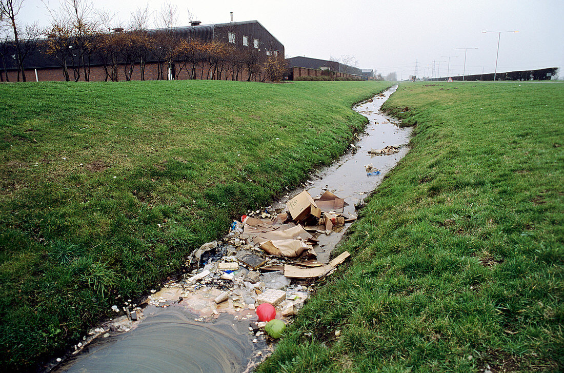 Polluted ditch