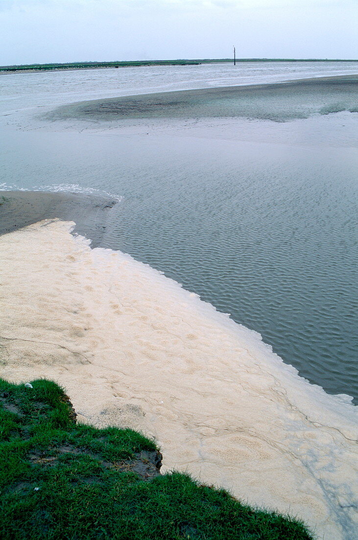 River pollution