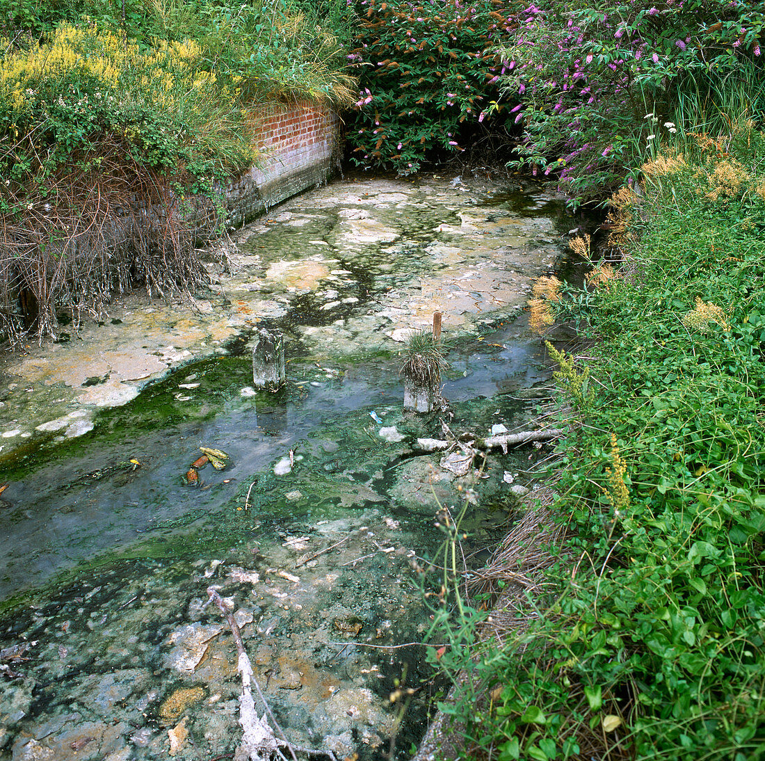 Polluted stream