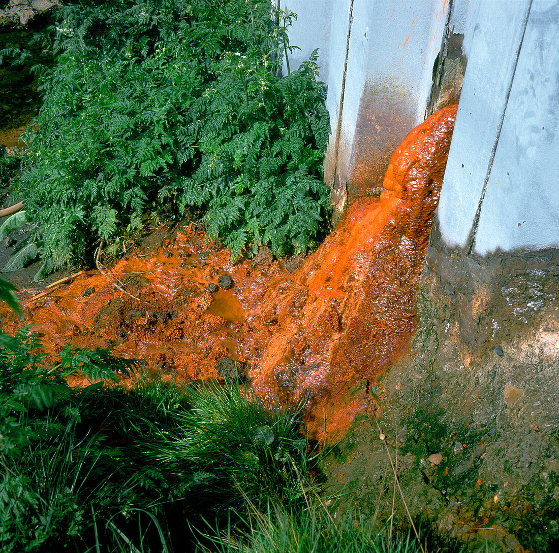 Toxic sludge,River Tame,UK