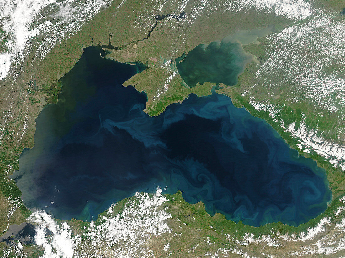 Phytoplankton blooms in the Black Sea